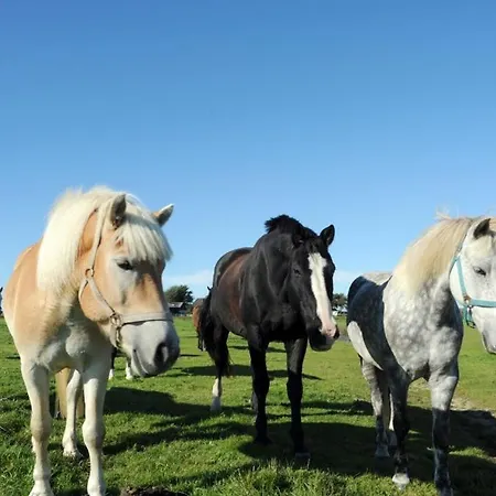 Apartamento Immensee App D *