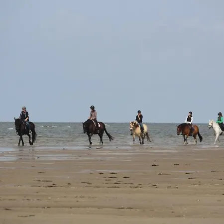 Apartamento Immensee App D *