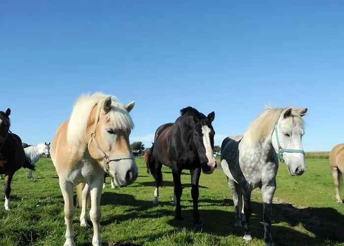 Lejlighed Immensee App D *