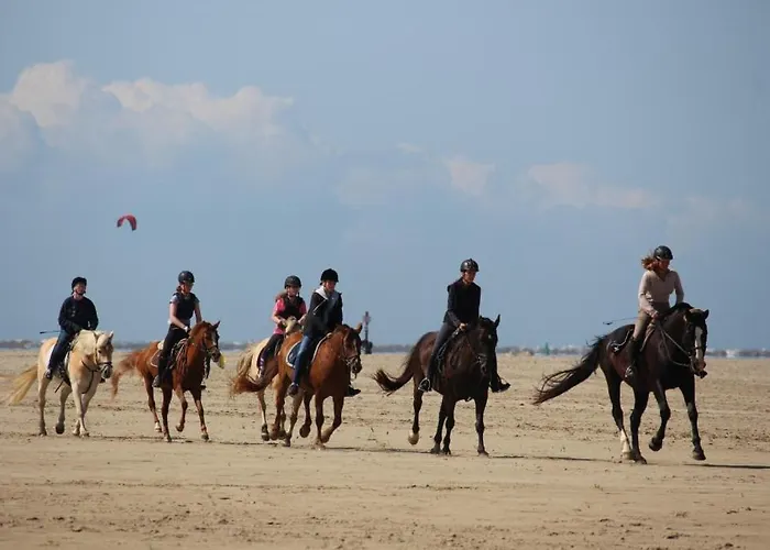 Lejlighed Immensee App D Ehst