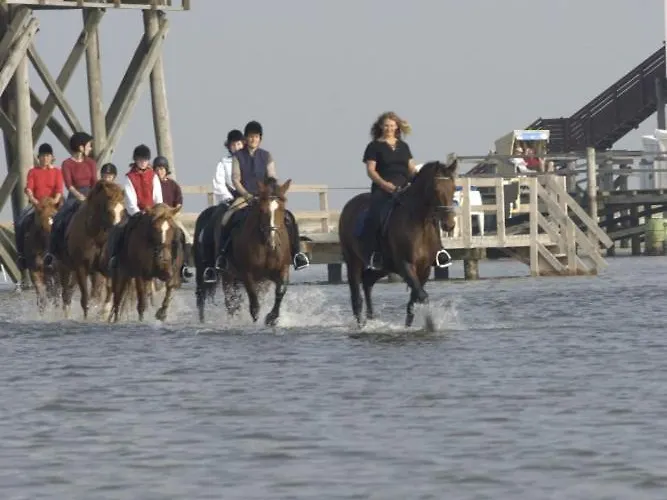 Immensee App D * Ehst