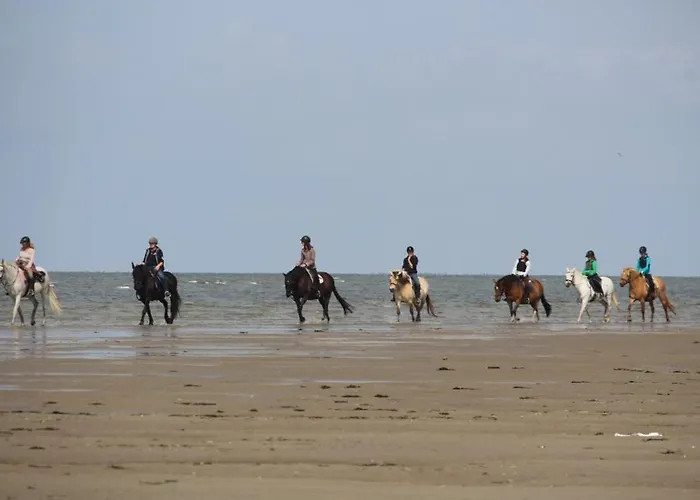 Lejlighed Immensee App D *